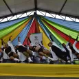 Carpa Arte Itinerante Gobernación del Vallle