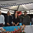 449 Años de Toro