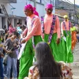 Carnaval de Toro 2022