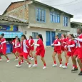 Comparsas de Toro en Las Fiestas del Dovio