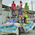 Comparsas de Toro en Las Fiestas del Dovio
