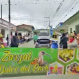 Comparsas de Toro en Las Fiestas del Dovio