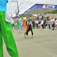 Comparsas de Toro en Las Fiestas del Dovio