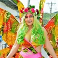 Carnaval de la Alegría 2017