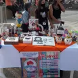 Primera Feria Toro Artístico y Emprendedor