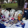Primera Feria Toro Artístico y Emprendedor