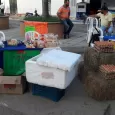 Primera Feria Toro Artístico y Emprendedor